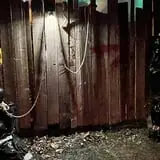 Hallowood Acres Haunted Trail photo