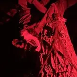 Hallowood Acres Haunted Trail photo