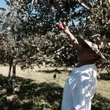 Huffstutter Orchards photo