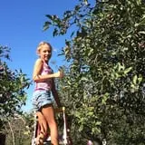Huffstutter Orchards photo