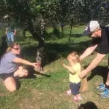 Huffstutter Orchards photo
