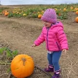 Sutter's Ridge Family Farm photo