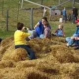 Sutter's Ridge Family Farm photo