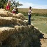 Sutter's Ridge Family Farm photo