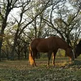 Sutter's Ridge Family Farm photo