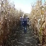 Sutter's Ridge Family Farm photo