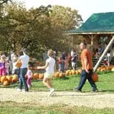 Sutter's Ridge Family Farm photo