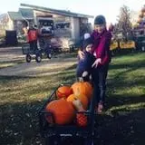 Sutter's Ridge Family Farm photo