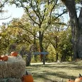 Sutter's Ridge Family Farm photo