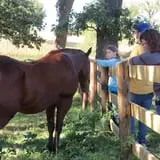 Sutter's Ridge Family Farm photo