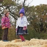 Sutter's Ridge Family Farm photo
