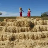 Sutter's Ridge Family Farm photo
