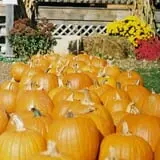 Sutter's Ridge Family Farm photo