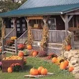 Sutter's Ridge Family Farm photo