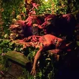 Dungeon of Doom Haunted House photo