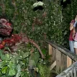 Dungeon of Doom Haunted House photo