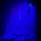 The Ritual Haunted House photo