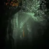 The Ritual Haunted House photo