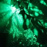 The Ritual Haunted House photo