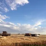 Kauffman Farm photo