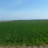 Kauffman Farm photo