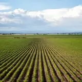 Kauffman Farm photo