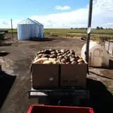 Kauffman Farm photo