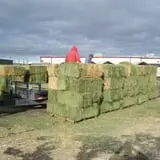 Kauffman Farm photo
