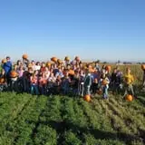 Kauffman Farm photo