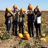 Jonamac Orchard Haunted Corn Maze photo