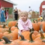 Jonamac Orchard Haunted Corn Maze photo