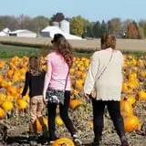 Jonamac Orchard Haunted Corn Maze photo