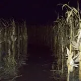 Jonamac Orchard Haunted Corn Maze photo