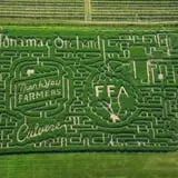 Jonamac Orchard Haunted Corn Maze photo