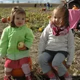 Jonamac Orchard Haunted Corn Maze photo