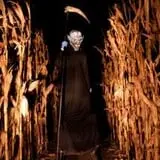 Jonamac Orchard Haunted Corn Maze photo