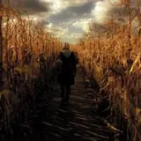 Jonamac Orchard Haunted Corn Maze photo
