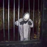 Jonamac Orchard Haunted Corn Maze photo