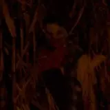 Jonamac Orchard Haunted Corn Maze photo
