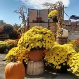 Jenkins - Lueken Orchards photo