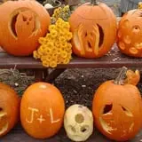 Jenkins - Lueken Orchards photo