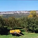 Jenkins - Lueken Orchards photo