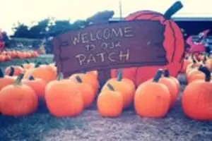 Marlow's Pumpkin Patch