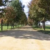 Shirley Plantation photo