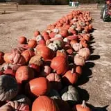 McArthur Farms photo