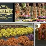McArthur Farms photo