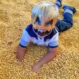 Patterson Farm photo
