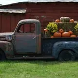 Patterson Farm photo