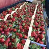 Patterson Farm photo