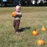Patterson Farm photo